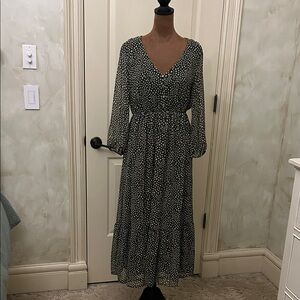 Zara Long Sleeve Maxi Dress